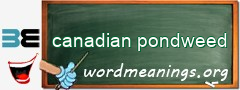 WordMeaning blackboard for canadian pondweed